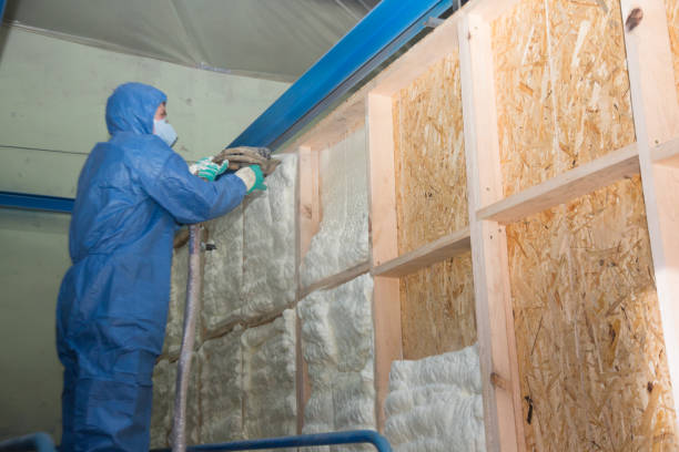 Best Insulation Removal  in Weigelstown, PA